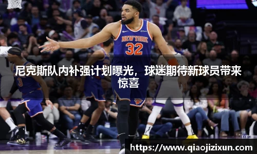尼克斯队内补强计划曝光，球迷期待新球员带来惊喜