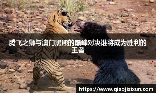腾飞之狮与澳门黑熊的巅峰对决谁将成为胜利的王者
